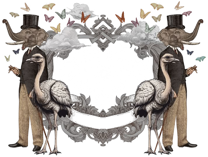 Illustrazione Lolli
